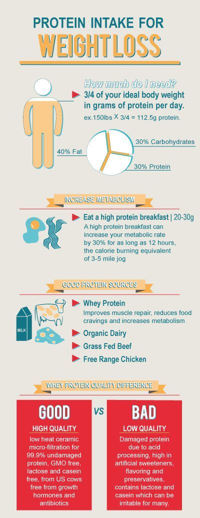How Much Protein Is Needed To Build Muscle And Lose Fat - Healthy Lifestyle