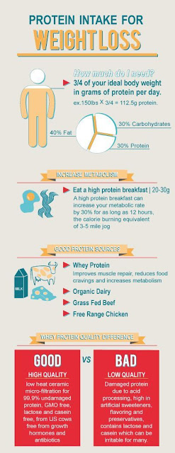 How Much Protein Is Needed To Build Muscle And Lose Fat - Healthy Lifestyle
