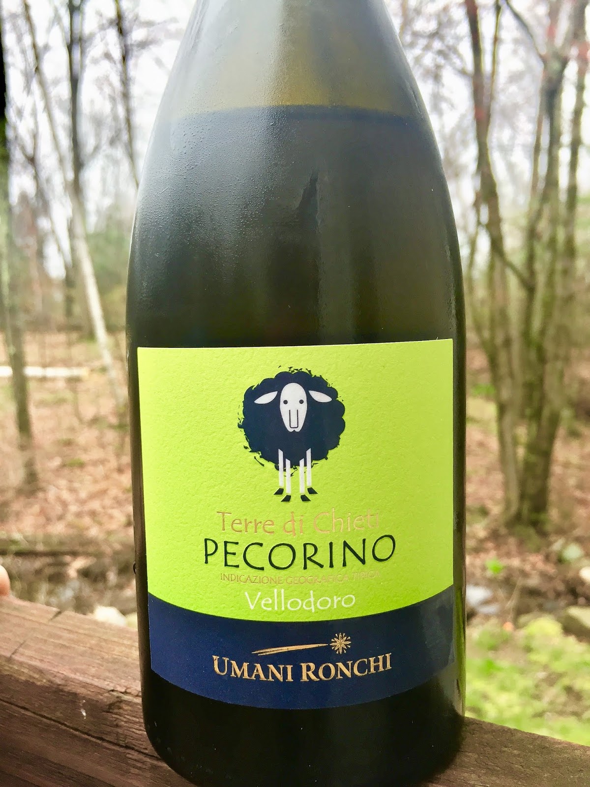 Vino Travels An Italian Wine Blog Grape of the Sheep with Umani Ronchi Pecorino