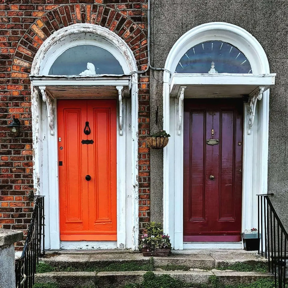 A Local's Guide to the Best Doors of Dublin Ireland Sidewalk Safari