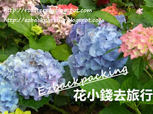 香港繡球花賞花好去處+大埔繡球花開花情報