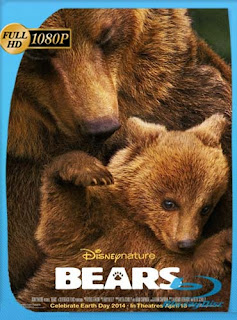 Bears (Osos) (2014) HD [1080p] Latino [GoogleDrive] SXGO