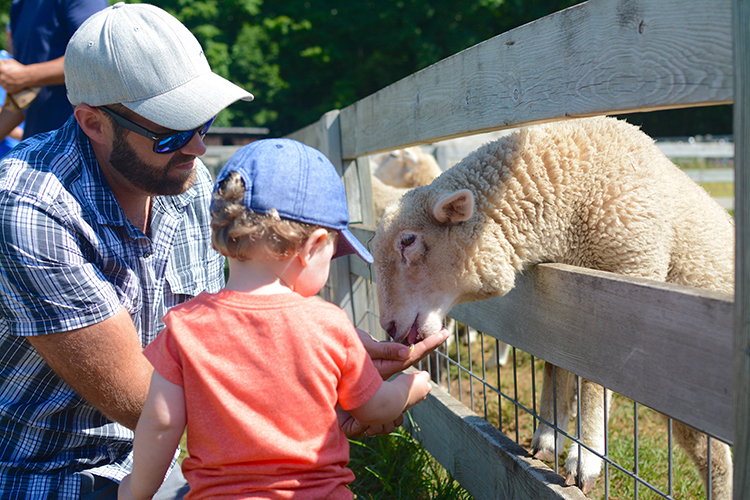 The Farm, Door County | My Darling Days The Farm, Door County | My Darling Days