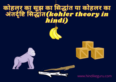 कोहलर का सिद्धांत, कोहलर का सूझ या अन्तर्दृष्टि का सिद्धांत (insight theory of learning)