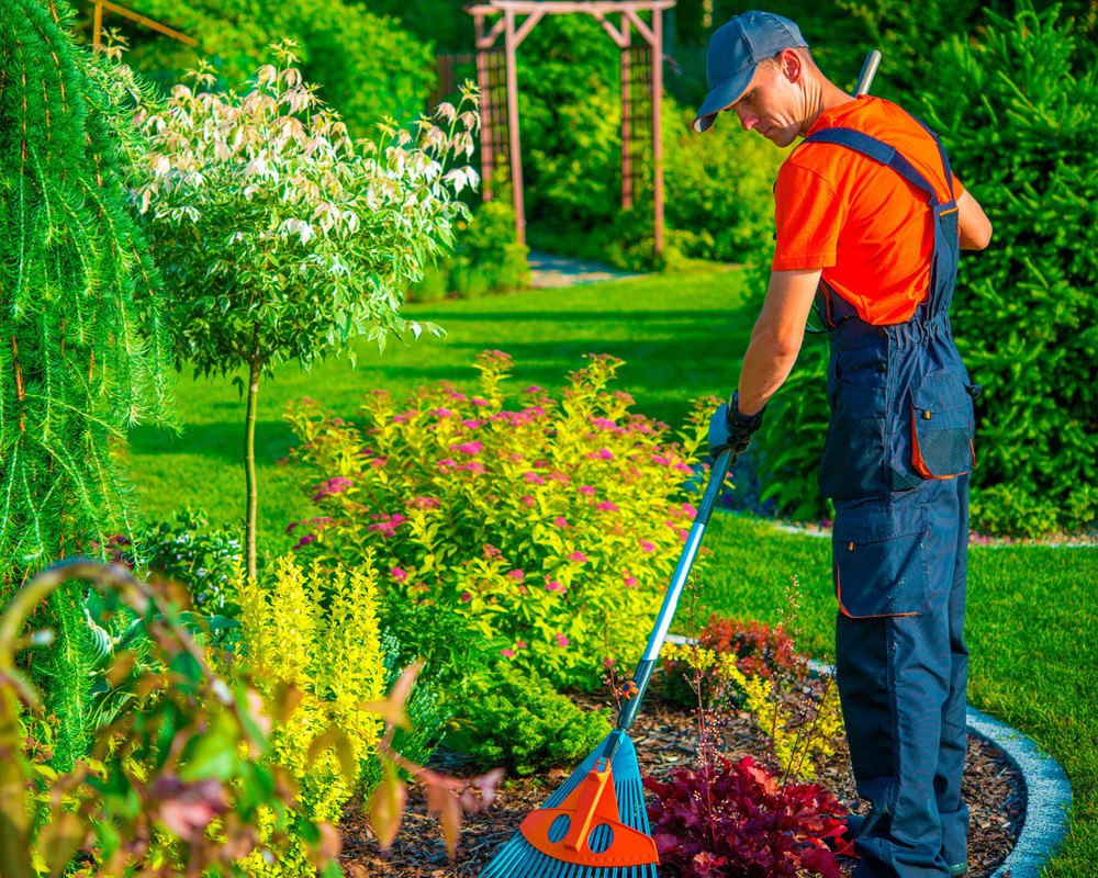 ¿LA JARDINERÍA ES LO TUYO? AQUÍ ALGUNOS SECRETOS PARA TU NEGOCIO