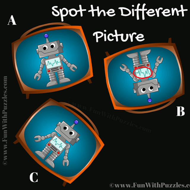 Spot the Different Bot Picture: Teen Puzzle - Answer