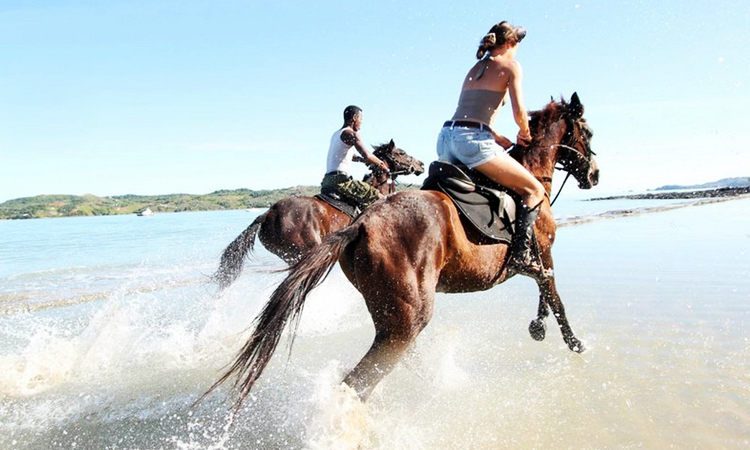 La présence de chevaux sur une île paradisiaque est tout à fait intégrée dans un contexte de tourisme vert et de découverte. Ambaro Ranch est un pionnier à Nosy-Be.