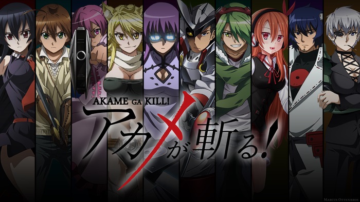 تقرير عن أنمي Akame Ga Kill