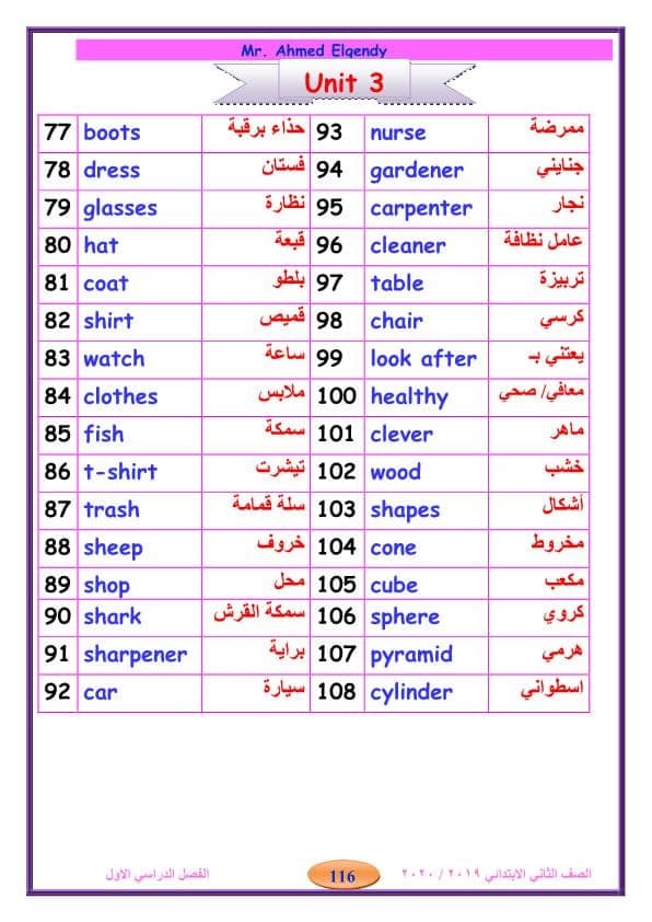 لغة انجليزية | جرامر الصف الثاني الابتدائي ترم أول ( كامل) مس نيڤين سعيد 9