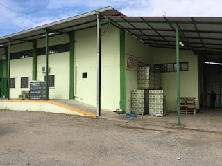 ΕΛΑΙΟΤΡΙΒΕΙΟ ΧΑΤΖΗΑΝΔΡΩΝΗ