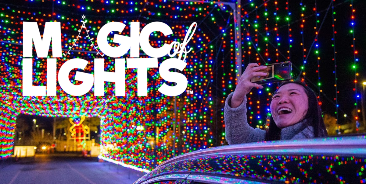 Magic of Lights DTE Suburbia Mom