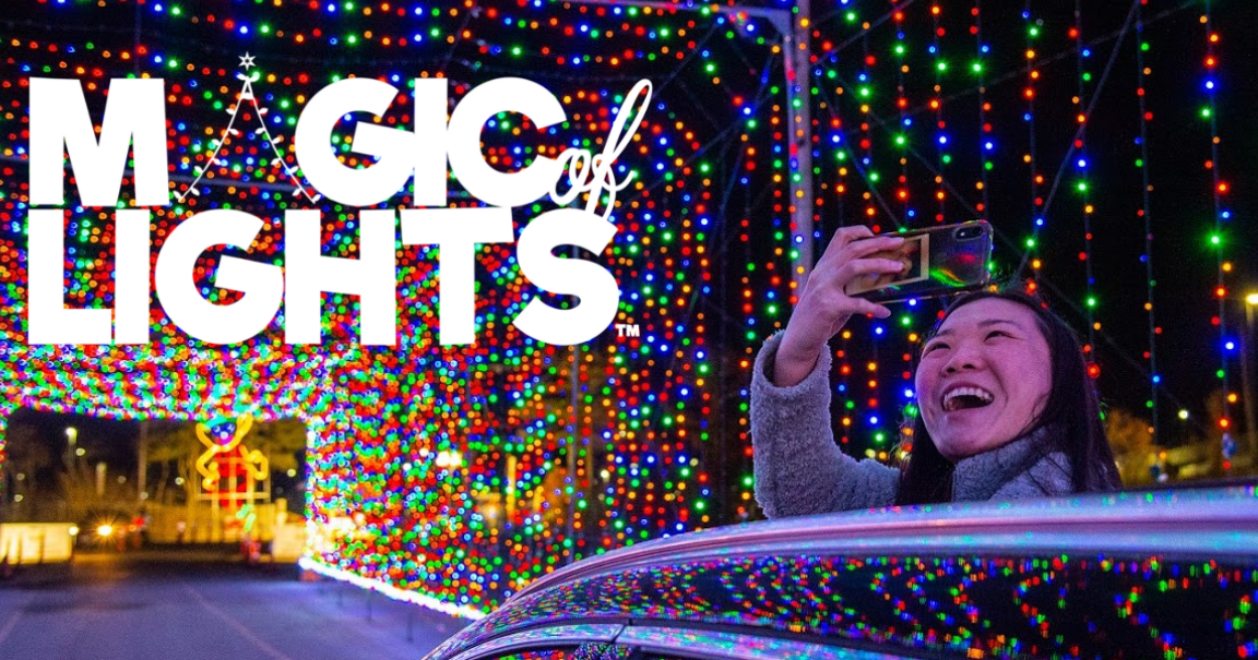 Magic of Lights DTE Suburbia Mom