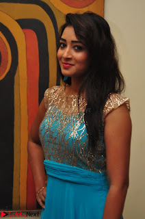 Bhanu Tripathi in Sleeveless Floor Lenght Anarkali gown At Desire Exhibition Launch 006