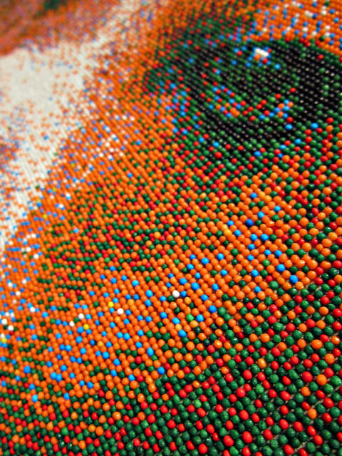 beagle portrait made of candy nonpareils, detail