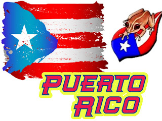 Puerto Rico Matters in the US Presidential Election