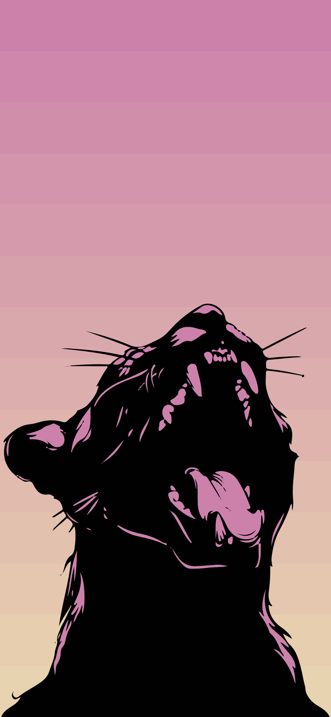 Aesthetic wallpapers - Panther