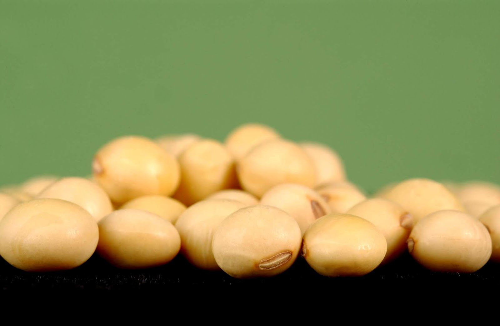How to grow Soybeans ? TAMESIS AGROBASE (P) LTD