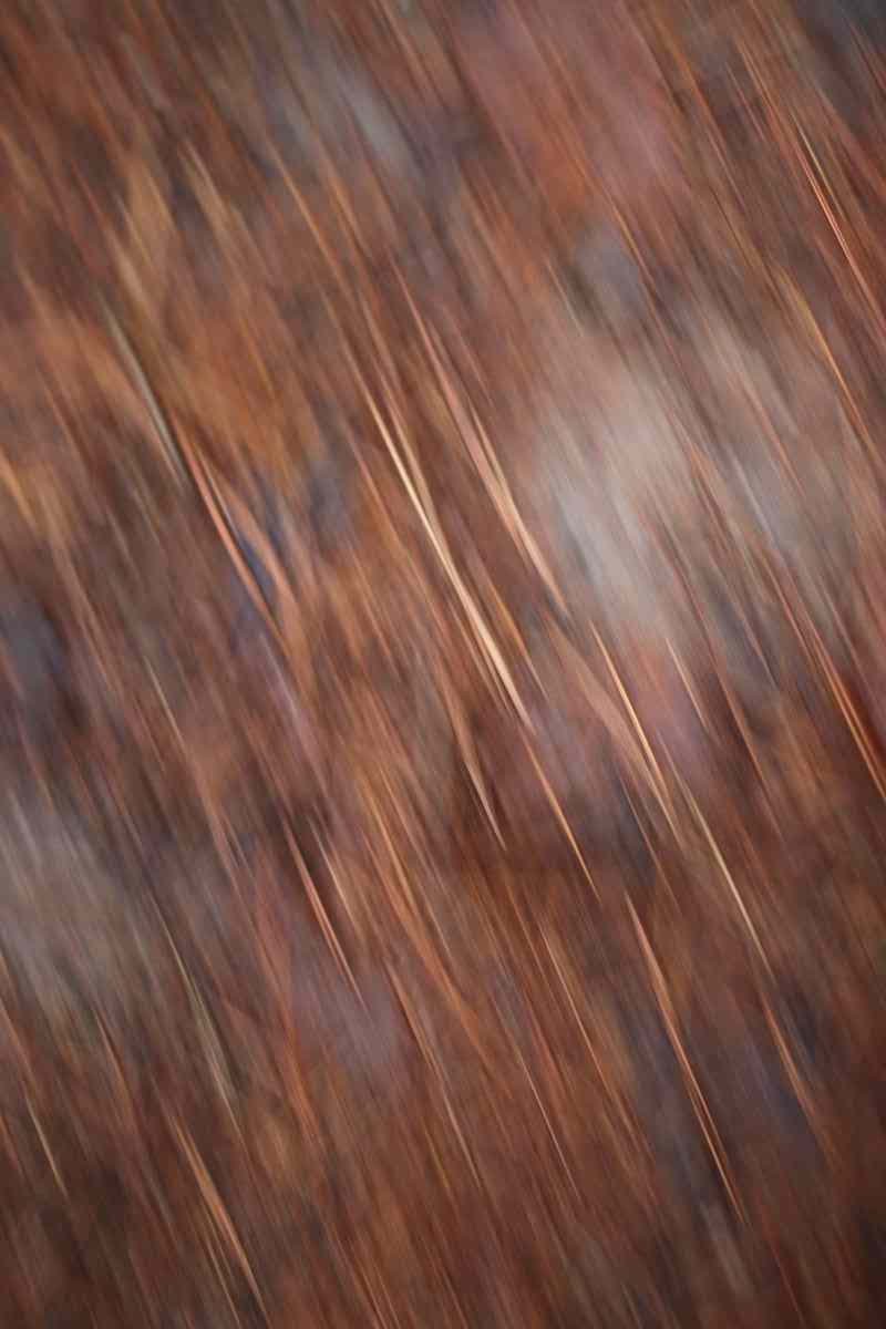 원주 구룡사 원주 구룡사