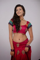 neelam-upadhyay-new-hot-pics-tollyscreen