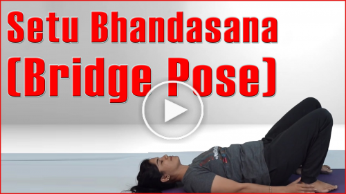 Yoga Bridge Pose - Setu Bhandasana & Its Benefits