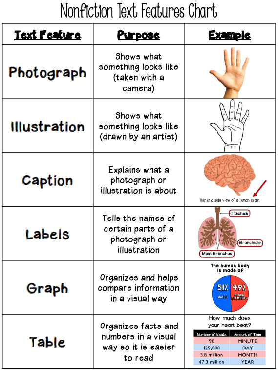 Text Features