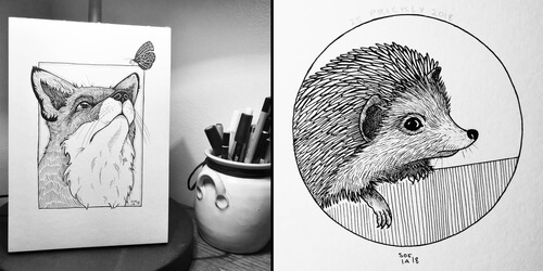 00-Sofia-Härö-Black-and-White-Ink-Animal-Drawings-www-designstack-co