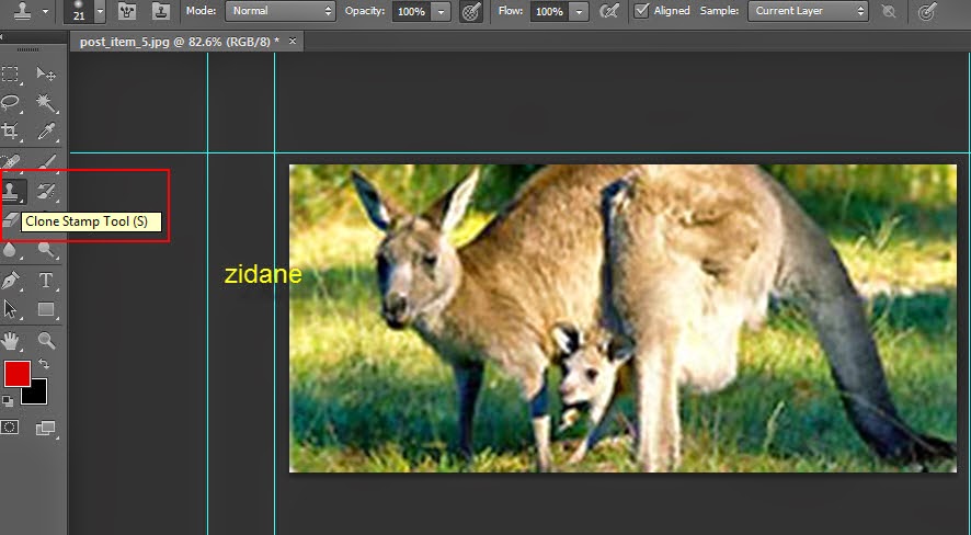 How to Enhance Your Photos with Content-Aware and Blur Tools in Photoshop