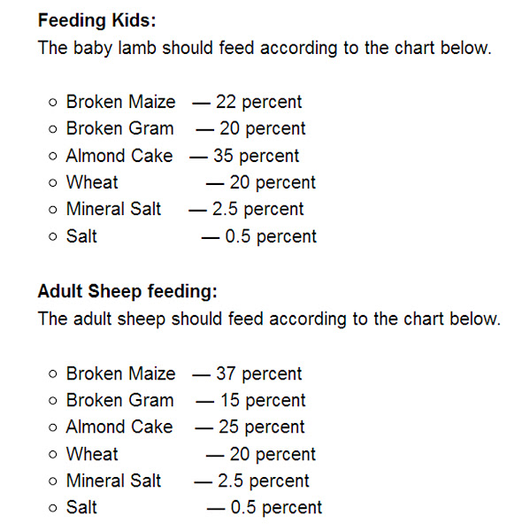 sheep feed, sheep feeding, food of sheep, what to feed sheep