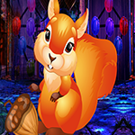 Games4King -  G4K Dejected Squirrel Escape Game