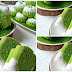 Ini Resep Membuat Kue Putu Ayu Panda, Bikin Ngiler