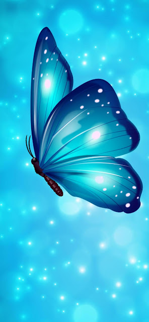 Blue Butterfly iphone 13 wallpaper Blue Butterfly iphone 13 wallpaper