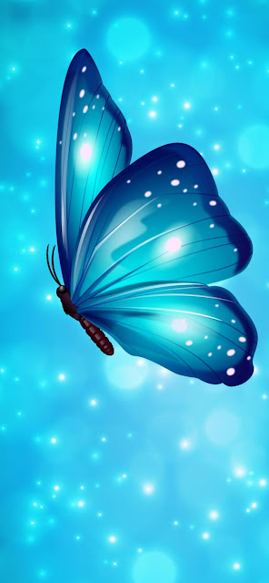 Blue Butterfly iphone 13 wallpaper