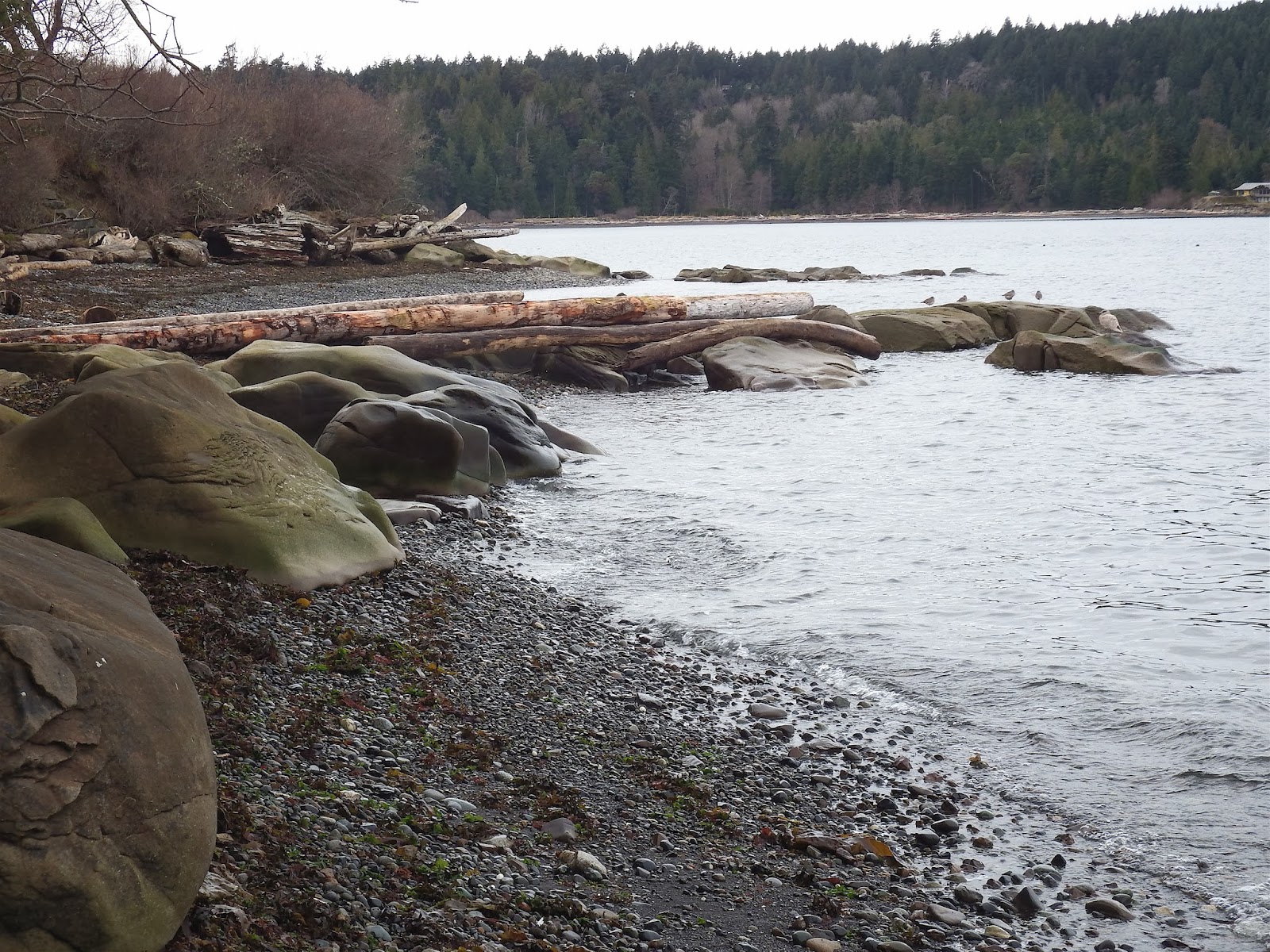 Wheelstogogo Travel Tales. Bells Landing Beach, Gabriola.