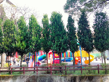 中壢景點[莒光公園]櫻花開滿園.疫情期間最佳賞景、拍照、野餐的好去處