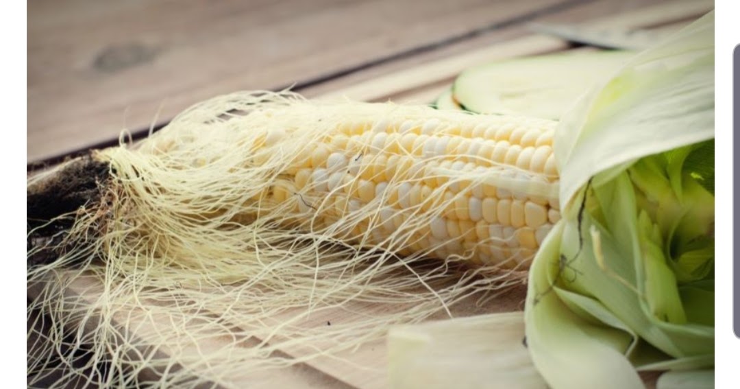 Warisan Petani: MB 126 : Khasiat Bulu Jagung