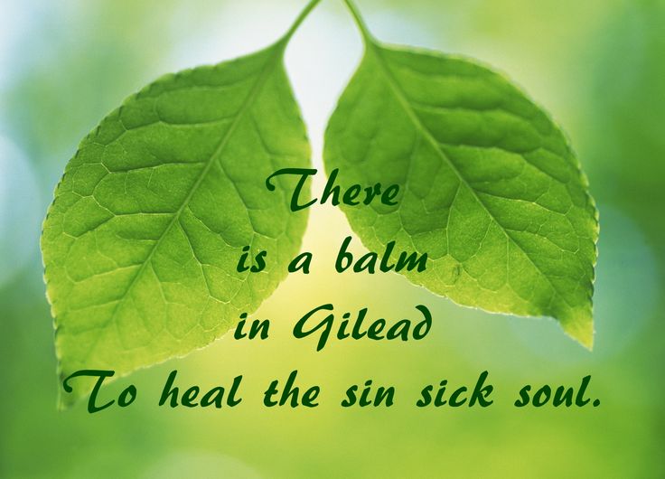STUFF The balm of Gilead What is it?