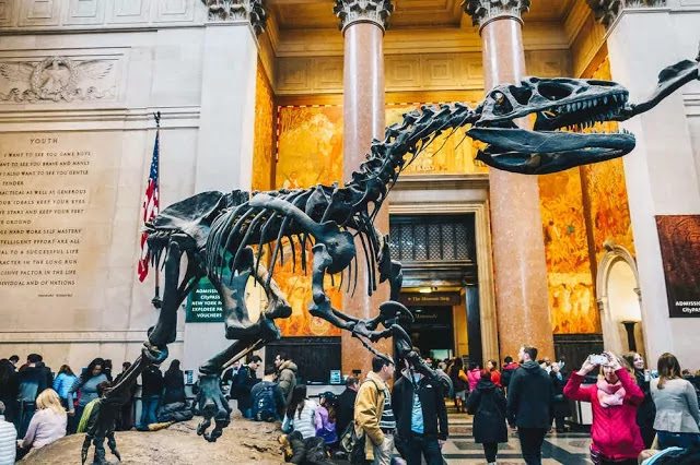 Museums in New York City