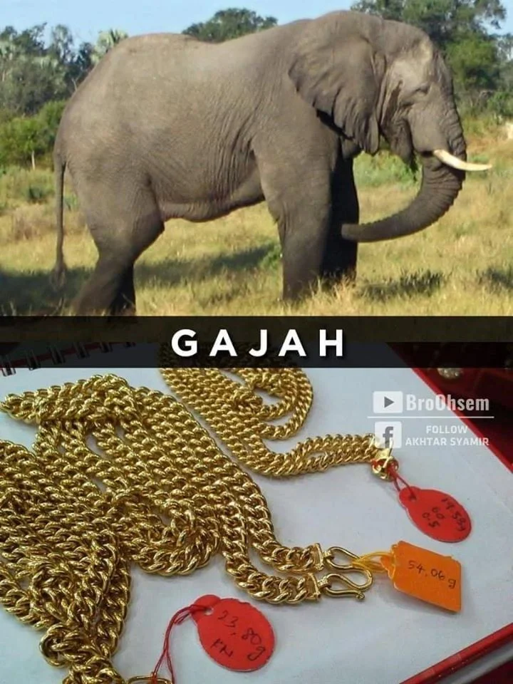 Gelang Emas Gajah