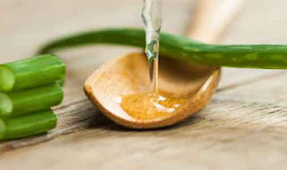 Aloe vera-Best Home Remedies For Cracked Heels