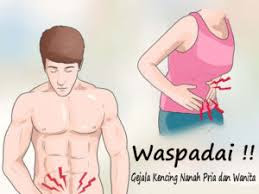 OBAT ALAMI MENGATASI KENCING SAKIT KENCING NANAH DAN LENDIR