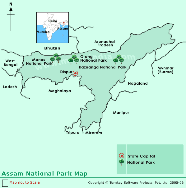 ouzz-kaziranga-national-park
