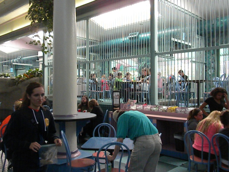 Can You Take Food Into The Toledo Zoo at Virginia Watts blog