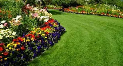 Well maintained garden and lawn - www.leovandesign.com