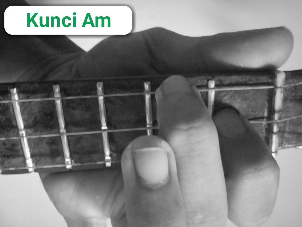 Belajar Kunci Dasar Ukulele Senar 3 Lengkap dengan Gambar - Dardura