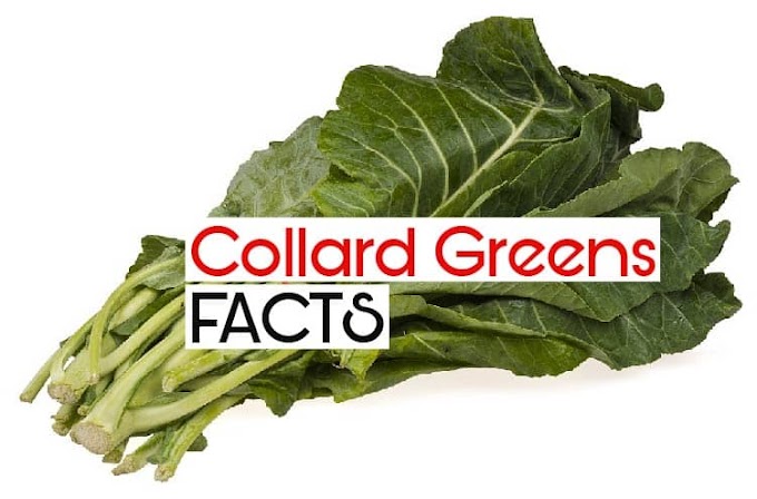 Collard greens: Facts, Benefits of collard greens - InfoHifi