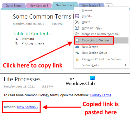 copier le lien vers la section onenote