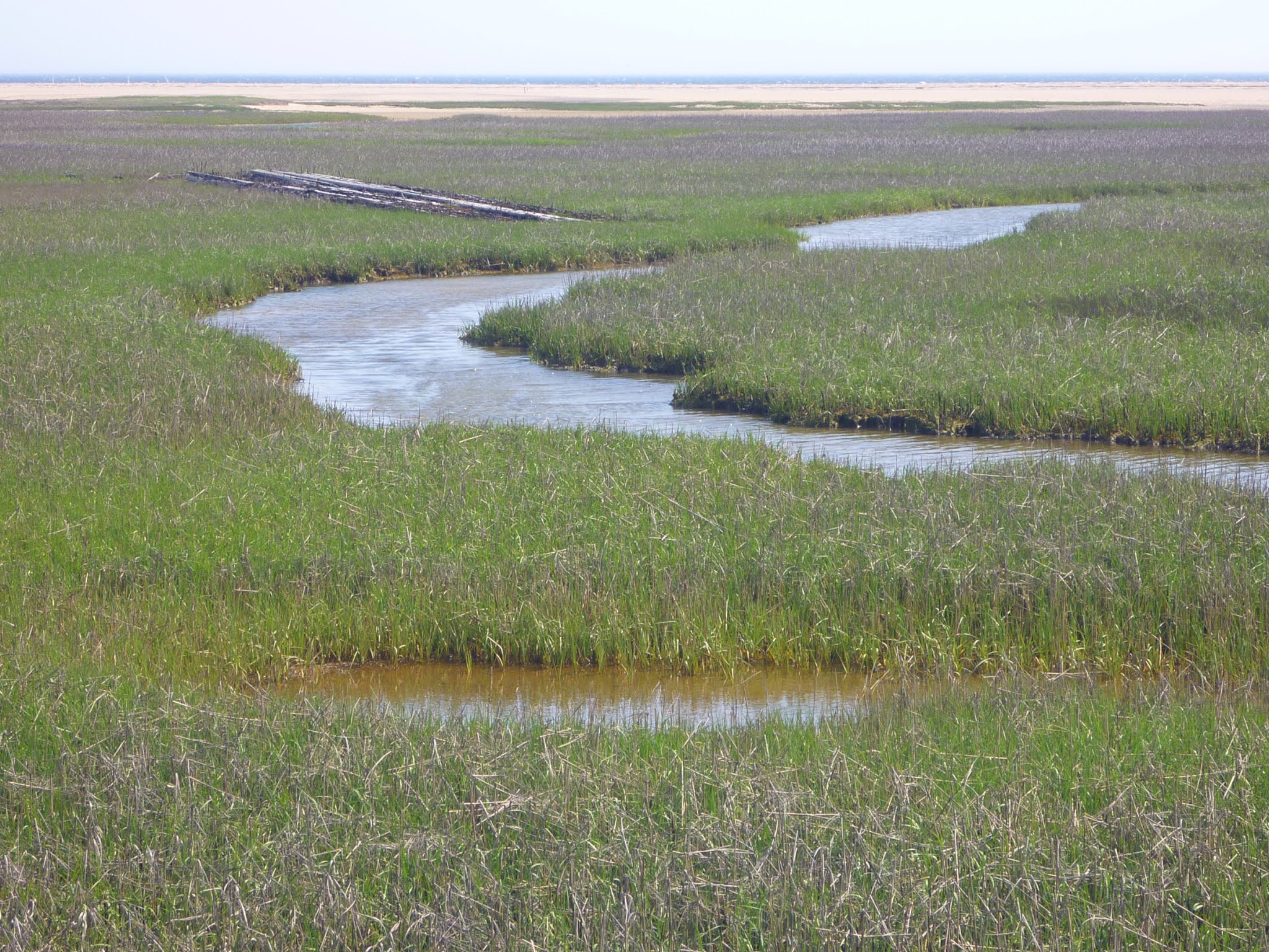 Trailing Ahead Explore the very tip of Cape Cod Hatches Harbor Trail