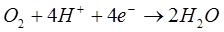 Cathode Reaction