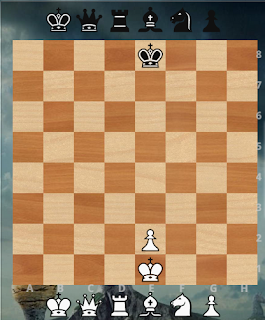 شطرنج - تسجيل موقف شطرنج FEN  3