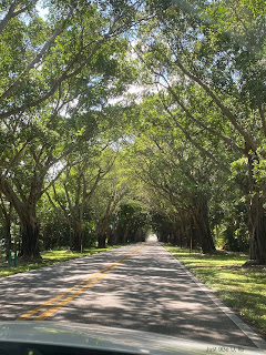 Roadtrip the Journey